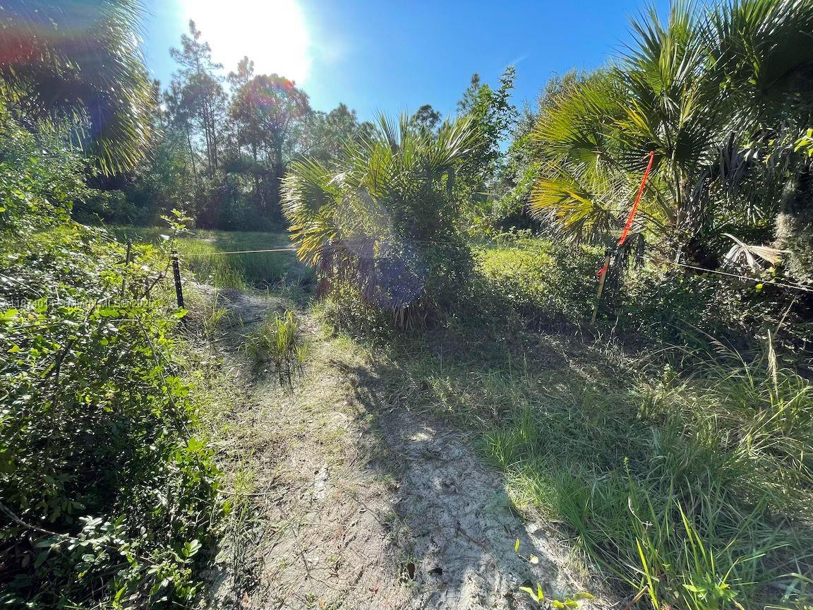 MONTURA SOUTH HALF - Land