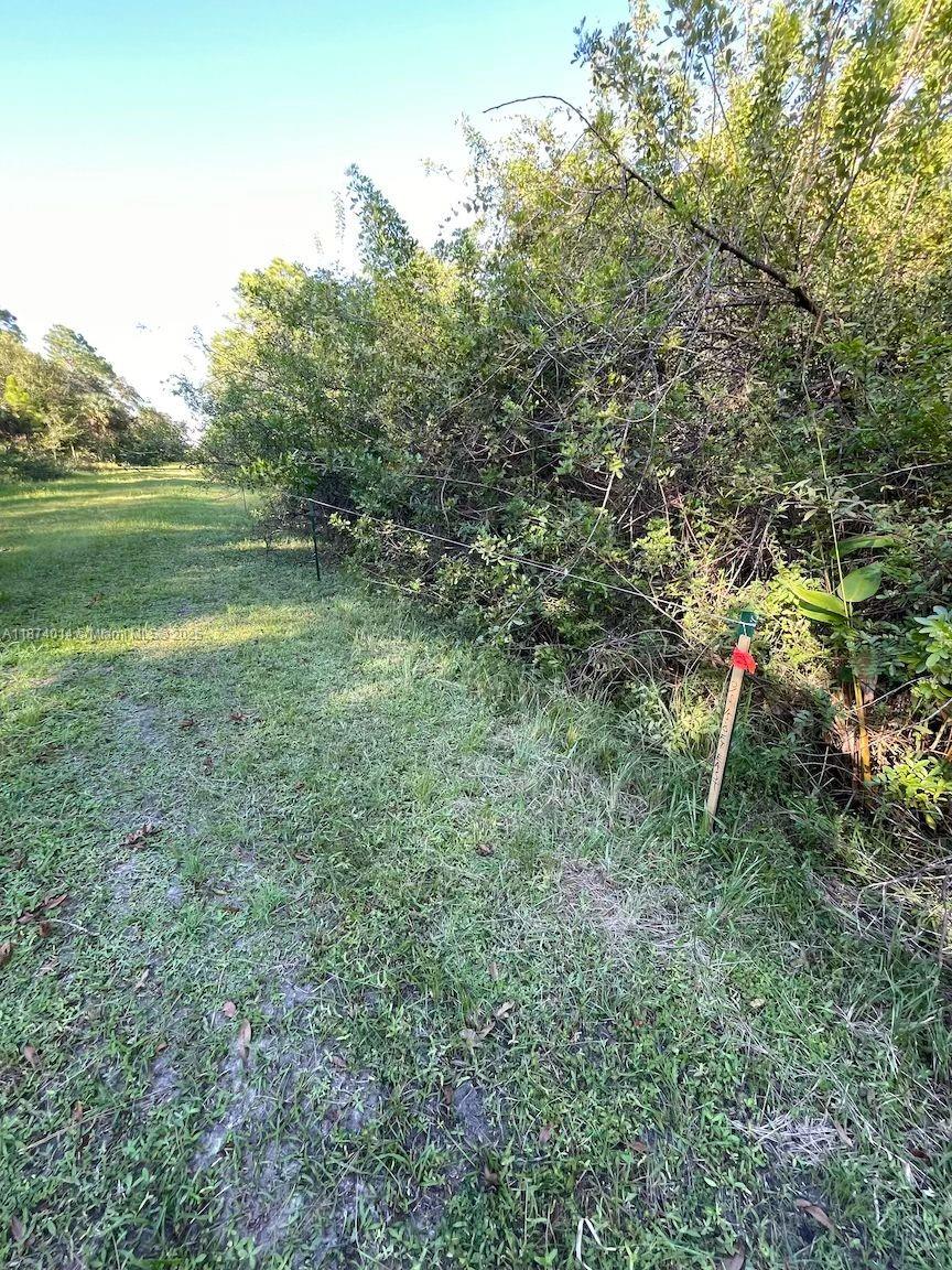 MONTURA SOUTH HALF - Land