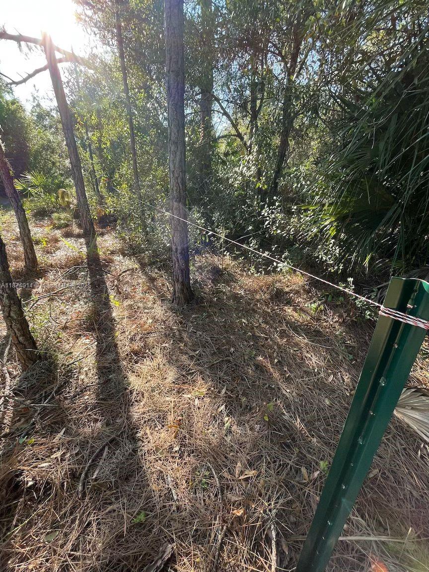 MONTURA SOUTH HALF - Land