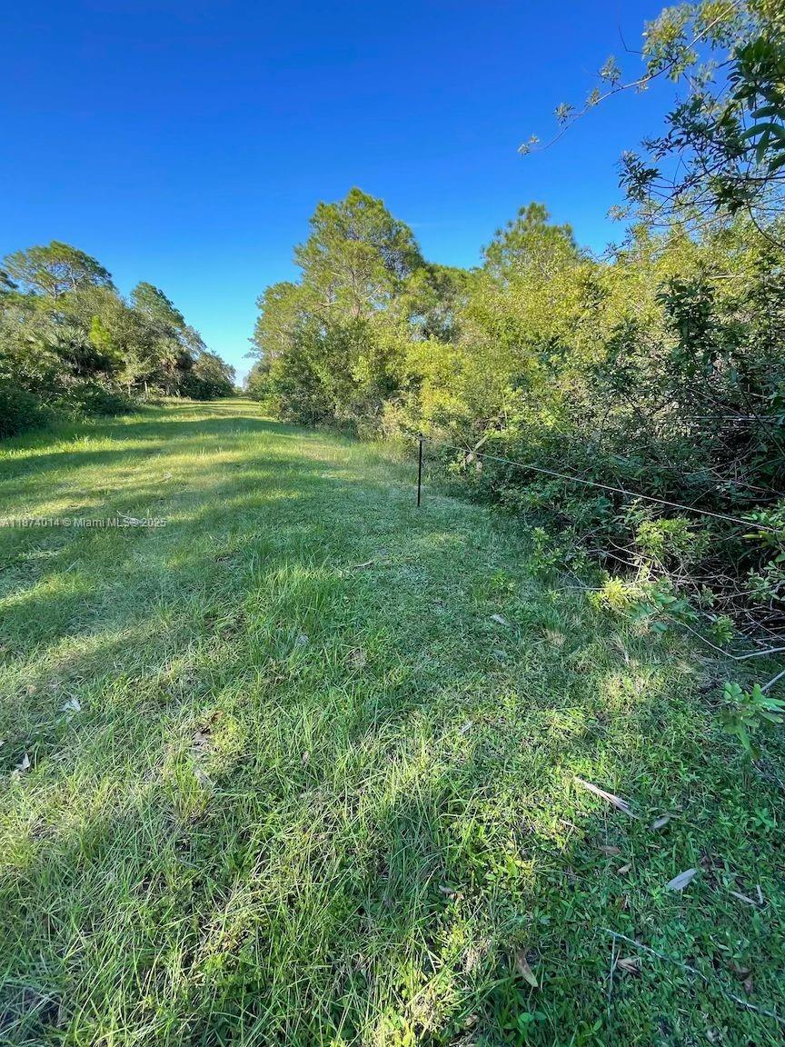 MONTURA SOUTH HALF - Land