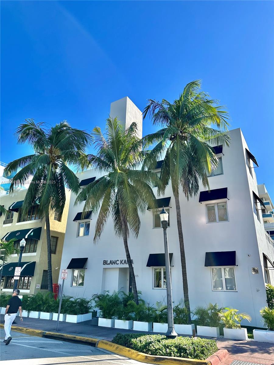 205 Collins Ave