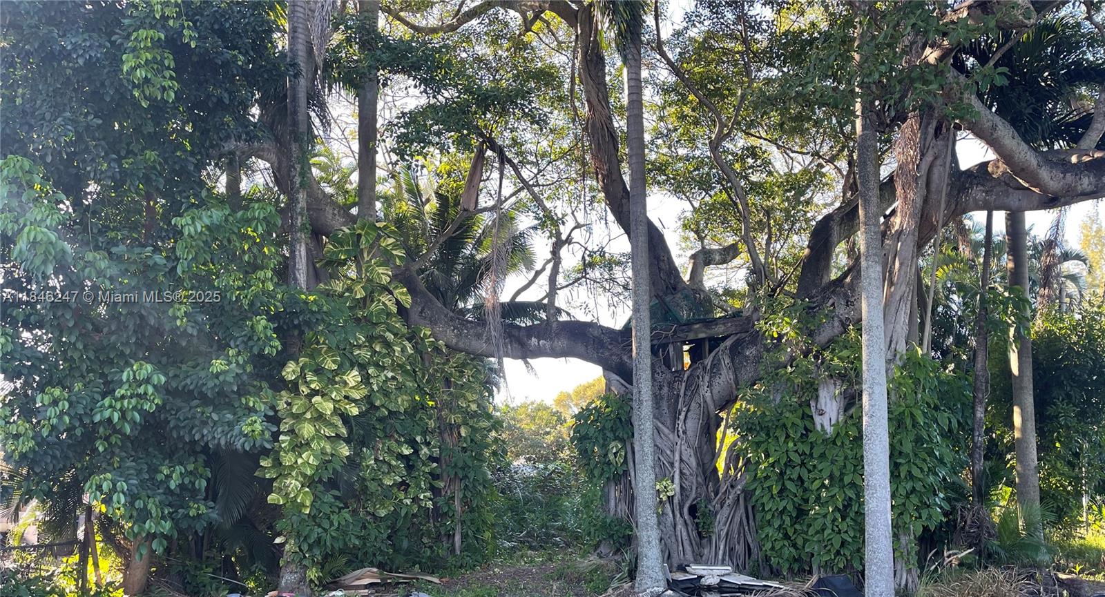 FIRST ADDITION TO CANAL G - Residential Lease