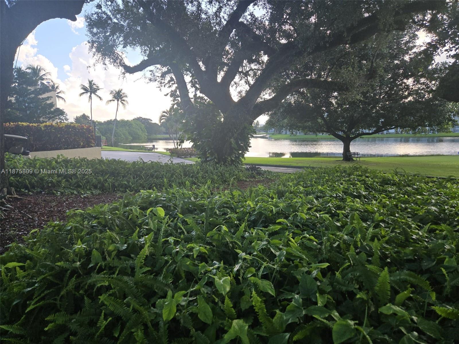 LIVE OAK CONDOMINIUM TWO - Residential