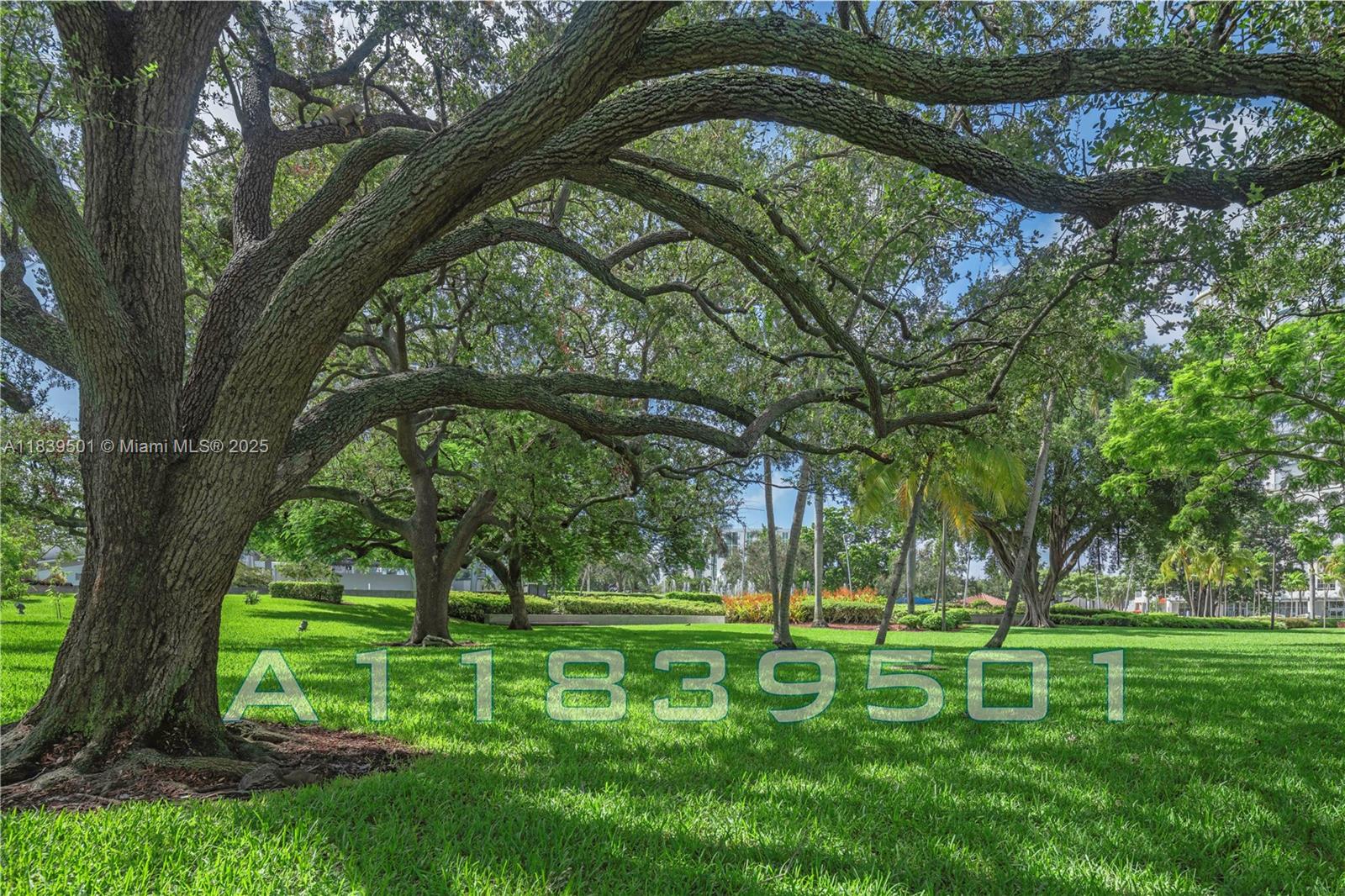 DIXIE GARDENS - Residential