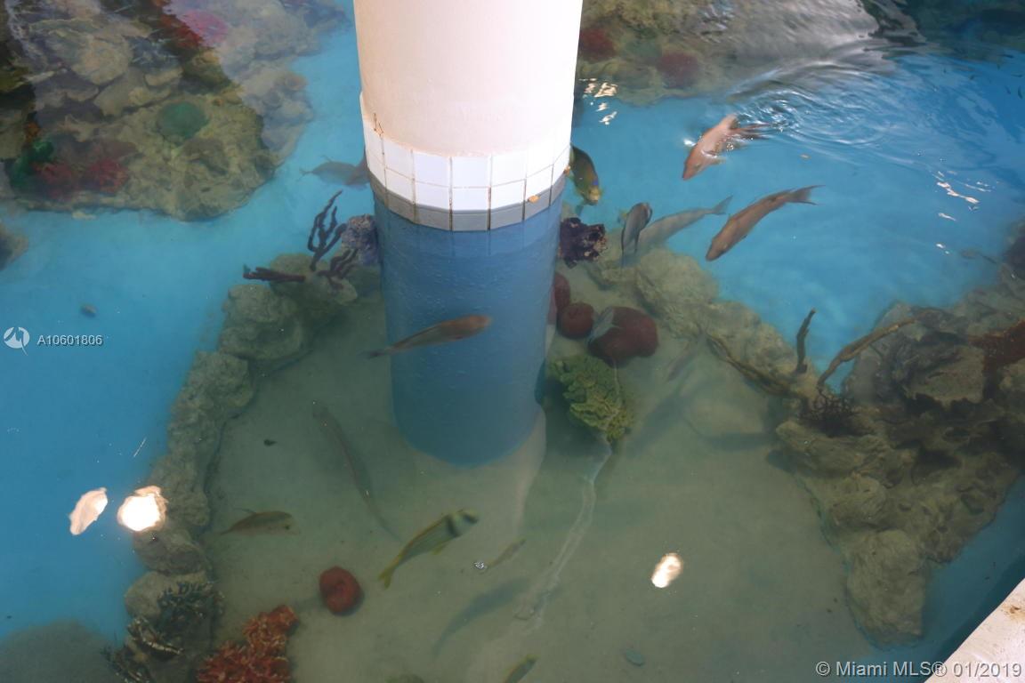 Cahill Pines & Palms - Residential