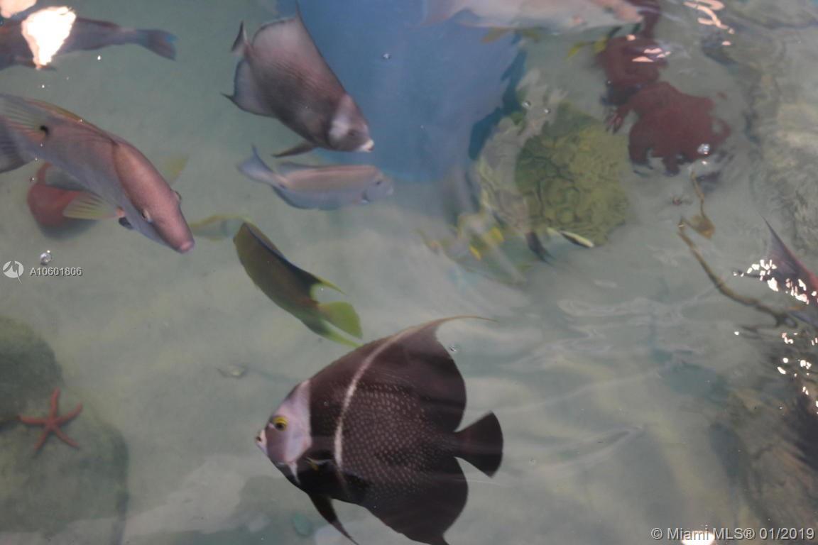 Cahill Pines & Palms - Residential