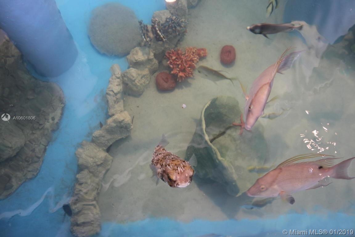 Cahill Pines & Palms - Residential