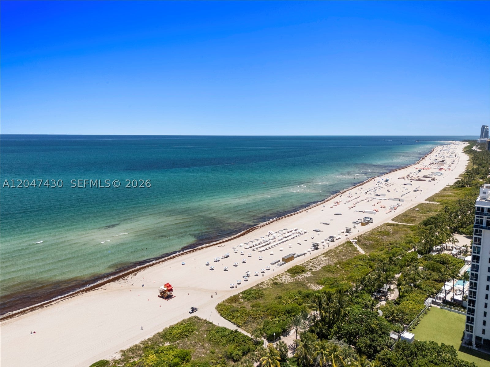 2457 Collins Ave 406