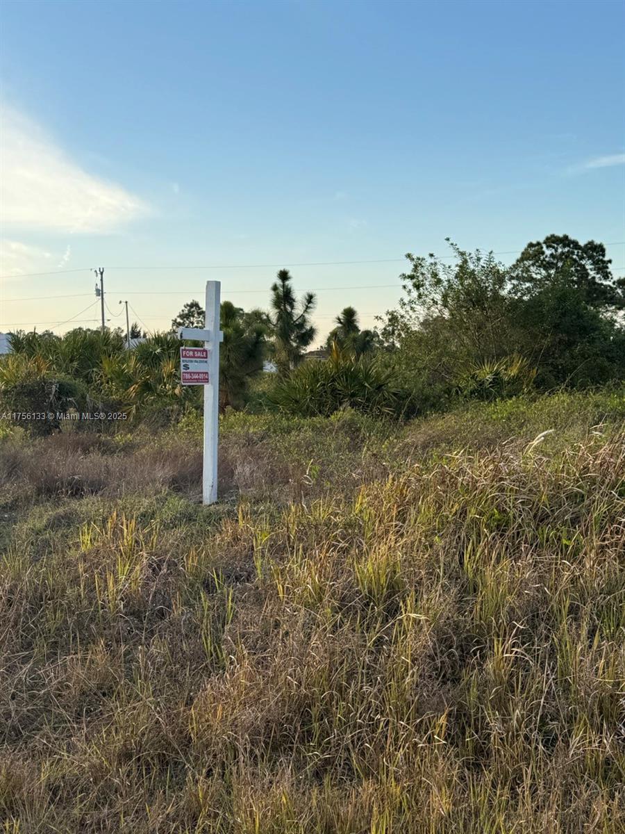 Unbeatable lot for sale in a rapidly growing section of Lehigh Acres! located just north of State Road SR-82 giving you quick access to I-75; Build your dream house or hold it as a future investment THE TIME IS NOW!!! Perfect HUGE 0.30 Acre CORNER lot to build your new home!! Located in very popular area just a short drive to grocery stores, schools and other amenities. - Minutes away from Southwest International Airport, Fort Myers Beach, Jet Blue Stadium (Home of the Red Sox Training Facility) Activities nearby include Lehigh Acres Community Park North; Lehigh Acres Trail head Park; Caloosahatchee Regional Park with sprawling, nearly 770-acre park featuring trails for mountain biking & hiking plus campsites.