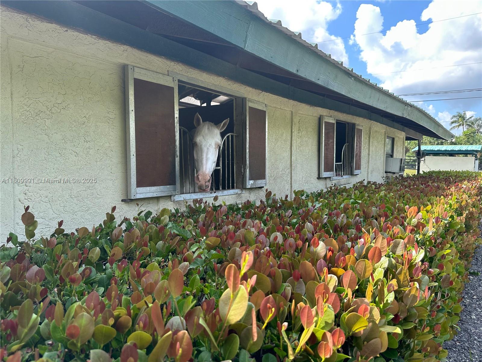 LOXAHATCHEE GROVES - Residential