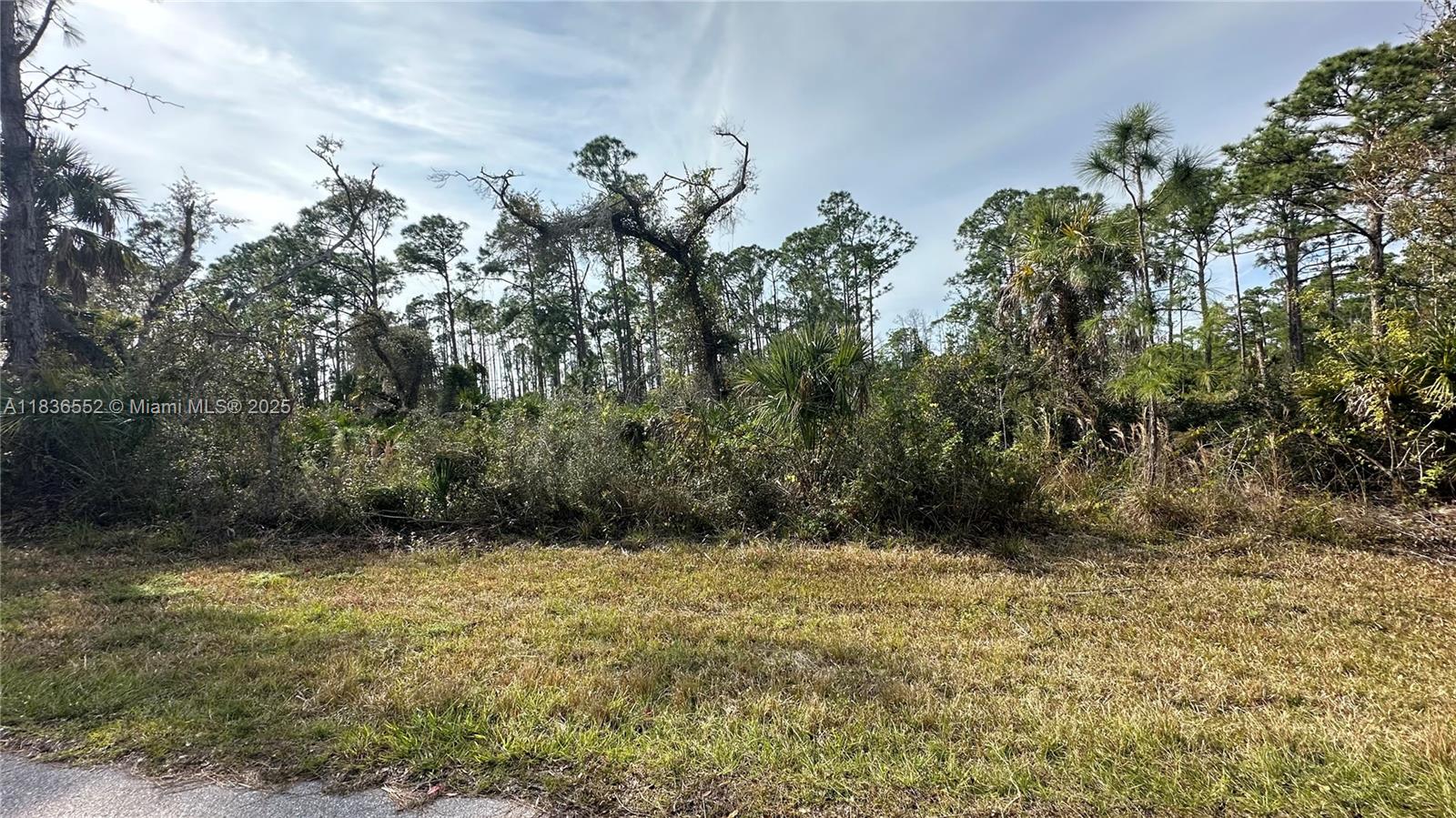 PORT CHARLOTTE SEC 38 - Land