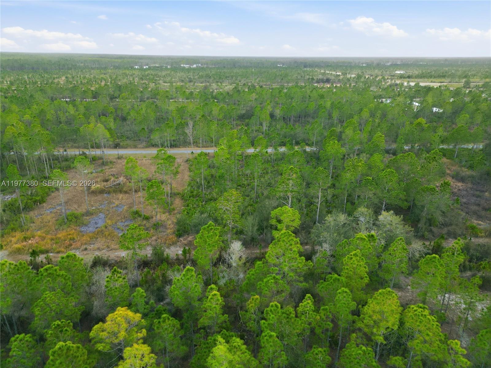 INDIAN LAKE ESTATES - Land