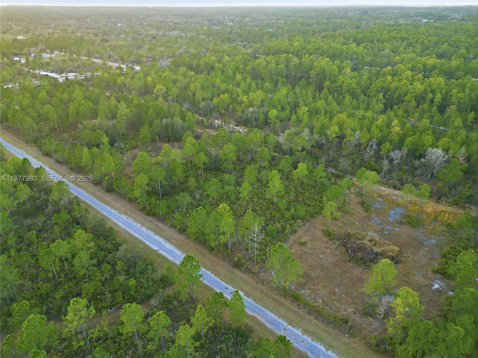 INDIAN LAKE ESTATES - Land