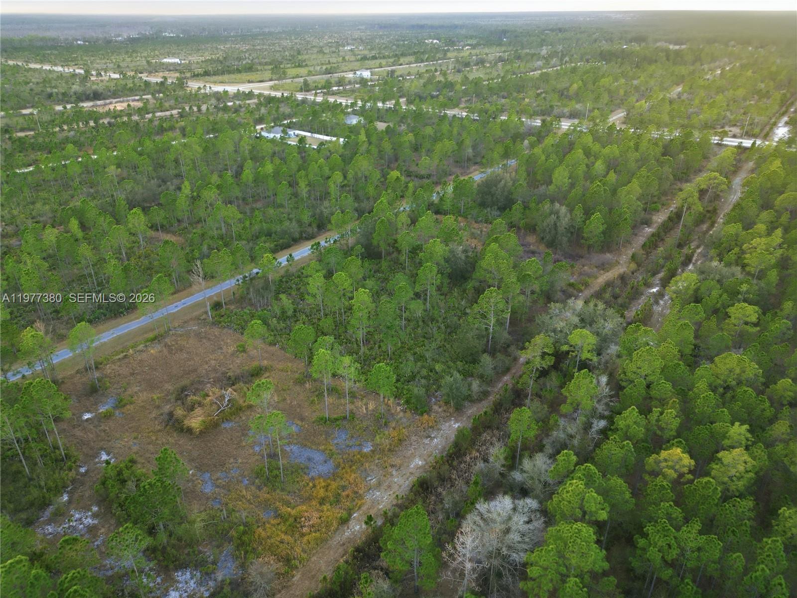 INDIAN LAKE ESTATES - Land