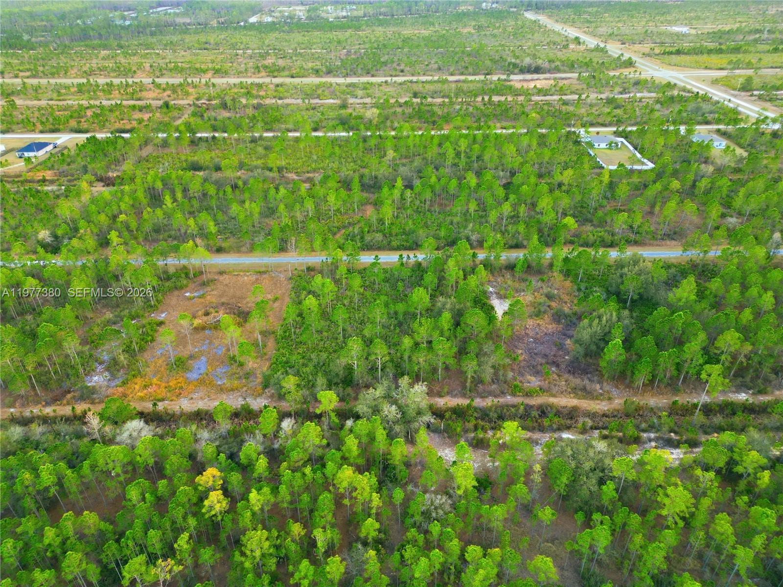 INDIAN LAKE ESTATES - Land