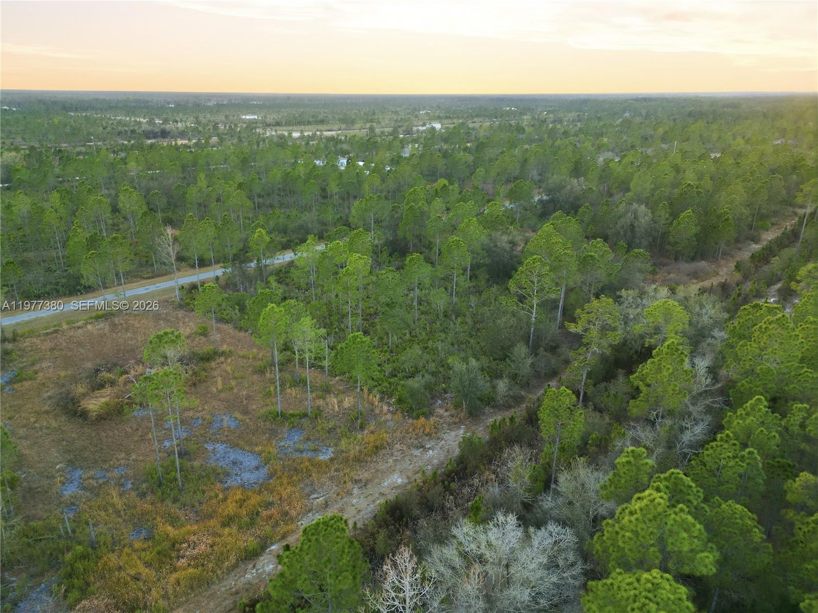 INDIAN LAKE ESTATES - Land