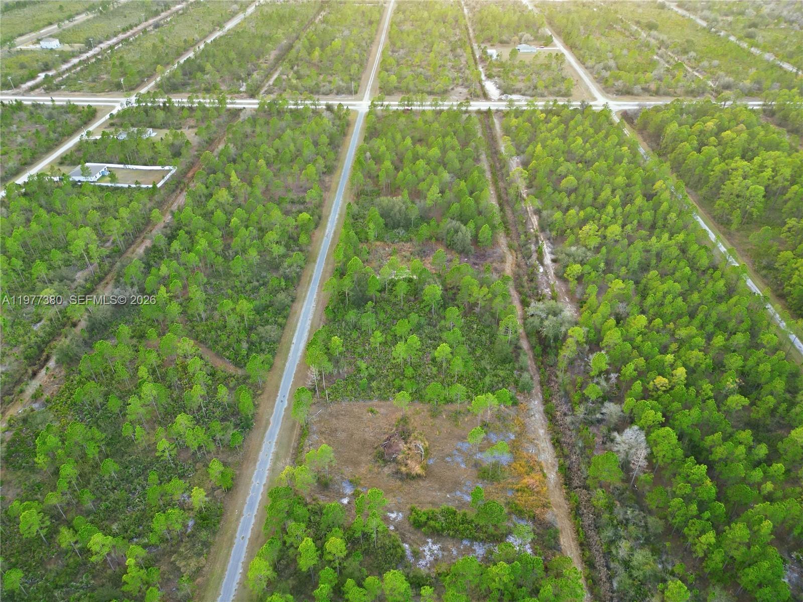 INDIAN LAKE ESTATES - Land