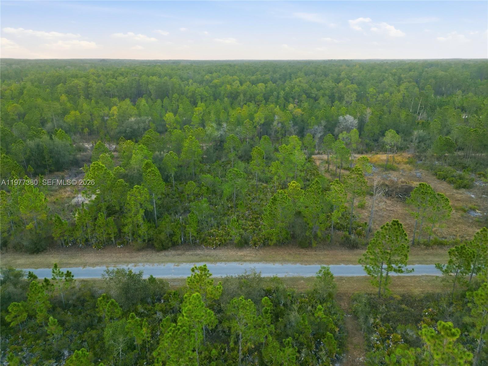 INDIAN LAKE ESTATES - Land