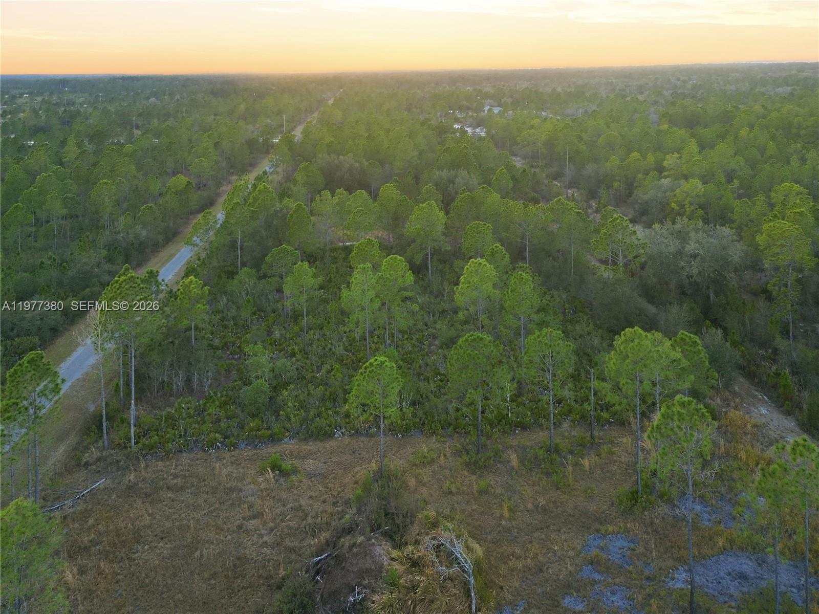 INDIAN LAKE ESTATES - Land