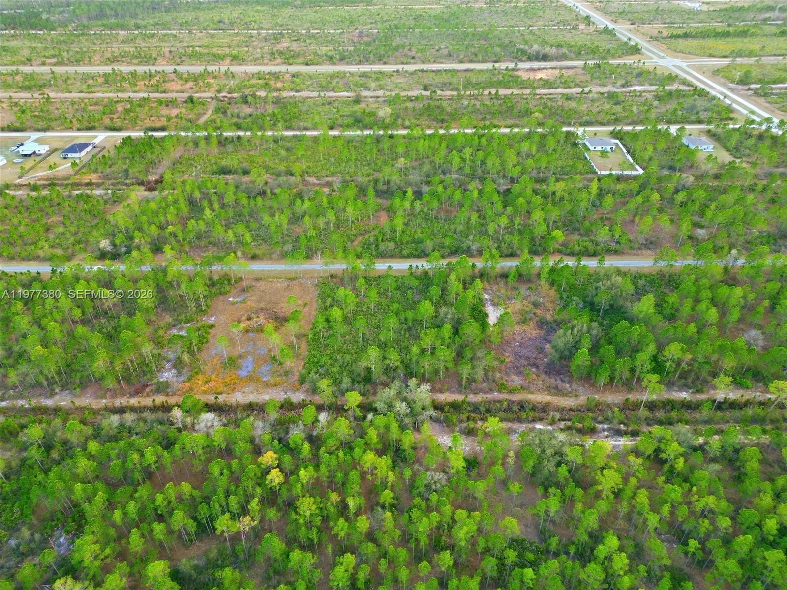 INDIAN LAKE ESTATES - Land