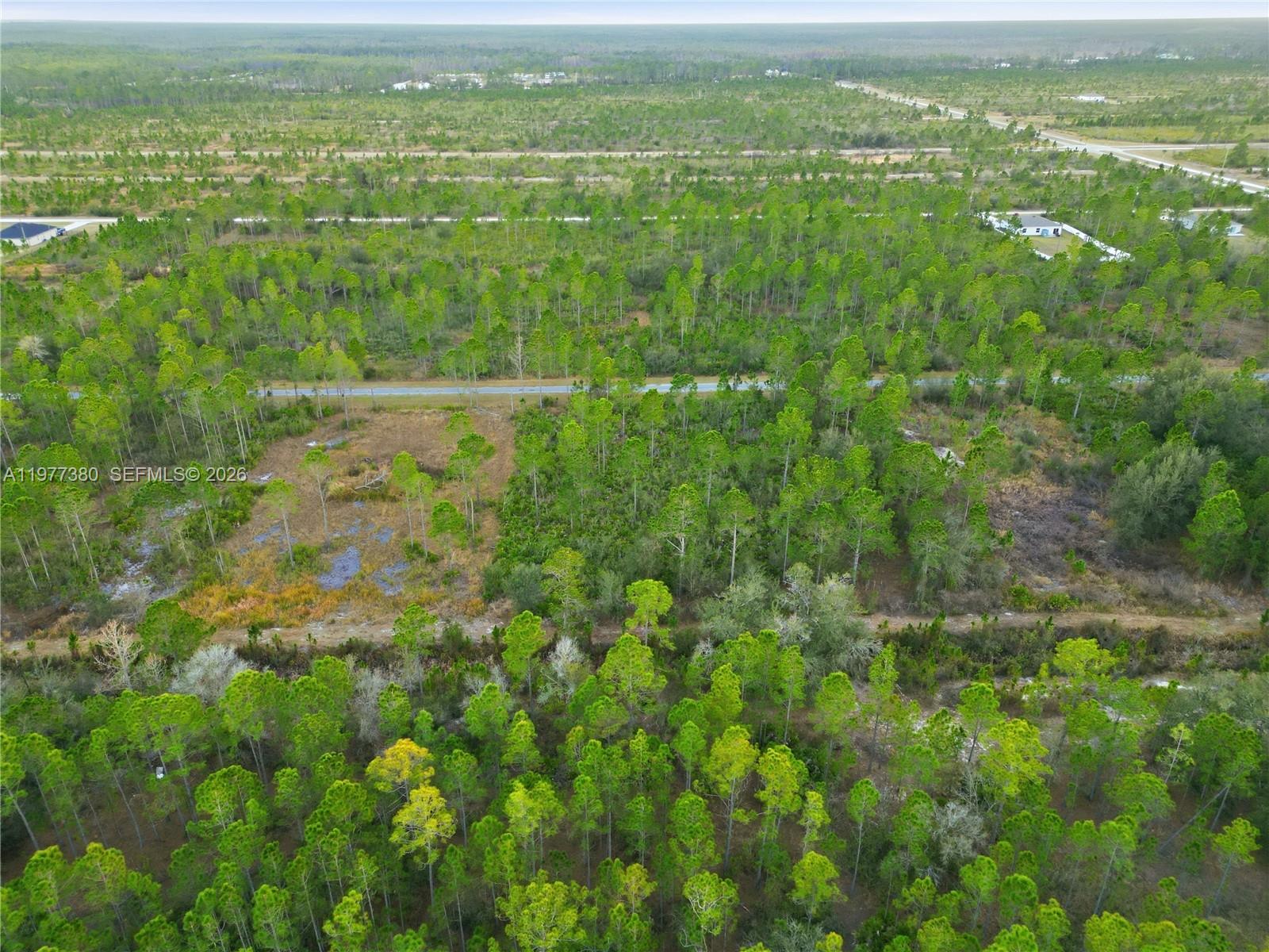 INDIAN LAKE ESTATES - Land