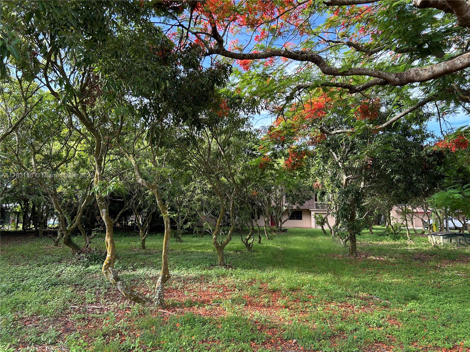 18950 SW 240th ST, Homestead, FL, 33031/$879,500 3 18950 SW 240th ST
