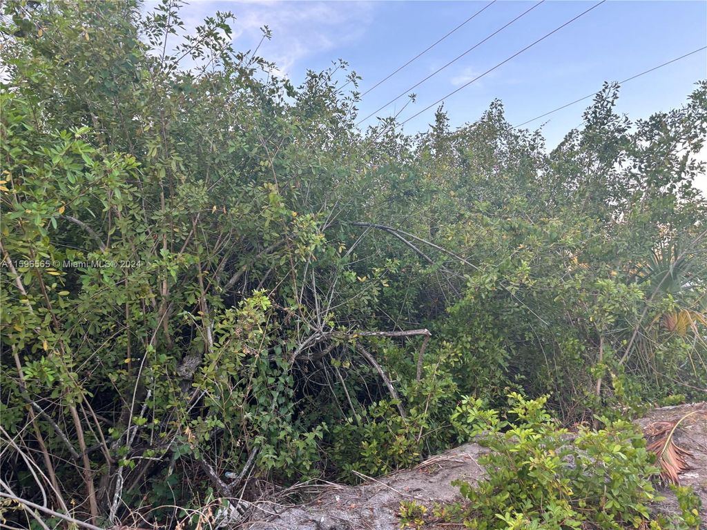 Photo of 4572 Savona Blvd, Port Saint Lucie, FL 34953 (MLS # A11596565)