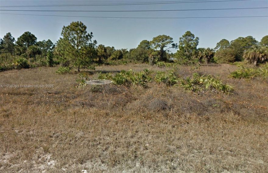 VACANT LAND. Great opportunity to own in Lehigh Acres. New and growing community. SFH's are being built in the neighborhood, including adjacent to this listing. Parcel #12-45-27-L2-10049.0180.

Adjacent lot available for sale: 406 Lambda Ave S. MLS#A11742940