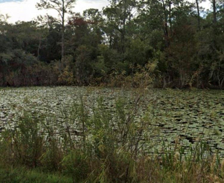 View Other City - In The State Of Florida, FL 33597 land
