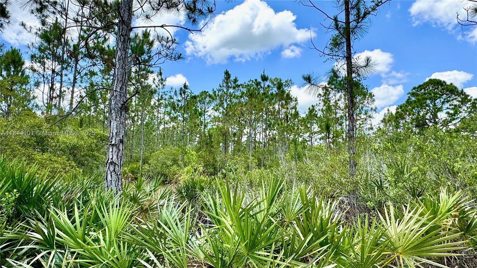 LAKE MONTAZA ESTATES - Residential