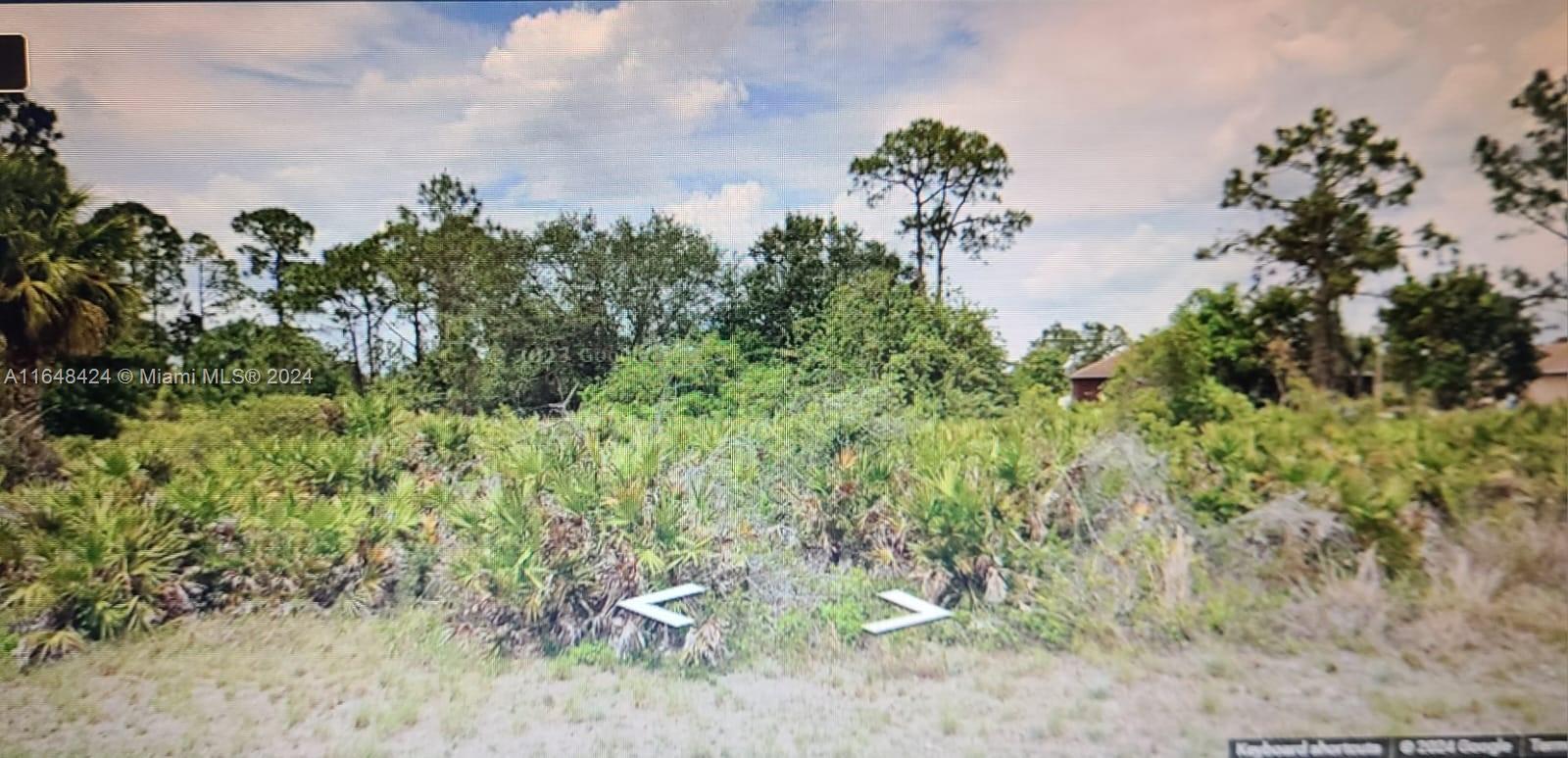 View Lehigh Acres, FL 33974 land