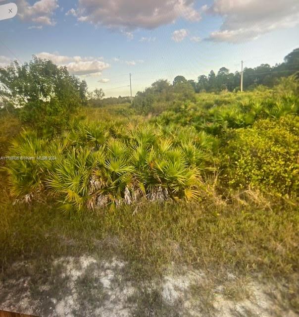 Vacant lot zoned RS-1 single family, Peaceful living in the growing area of Lehigh Acres! Build your dream home or invest for the future, prices on the rise. Close to shopping and I-75. Residential Vacant Land!