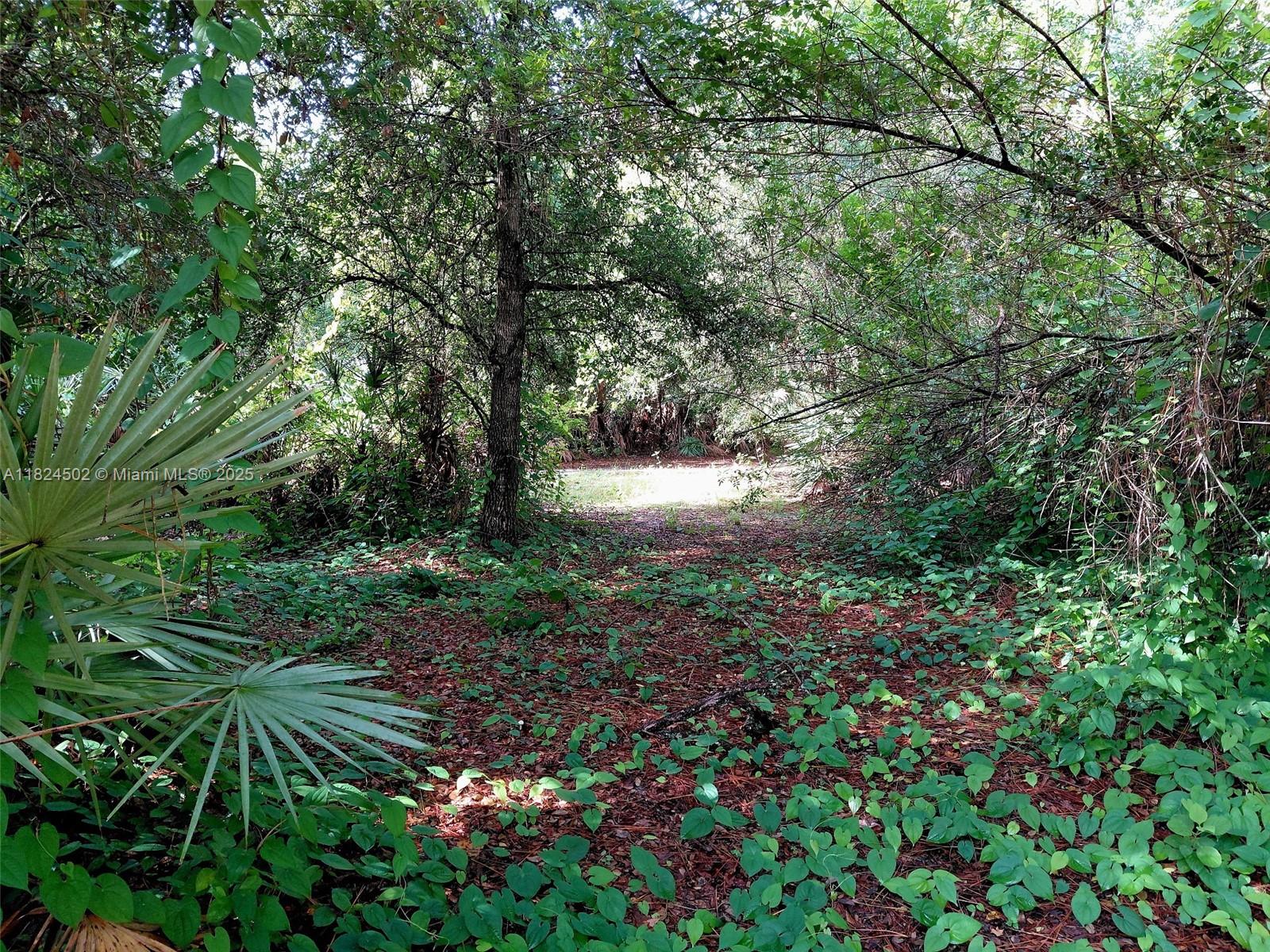 PIONEER PLANT UNREC SEC 34 - Residential