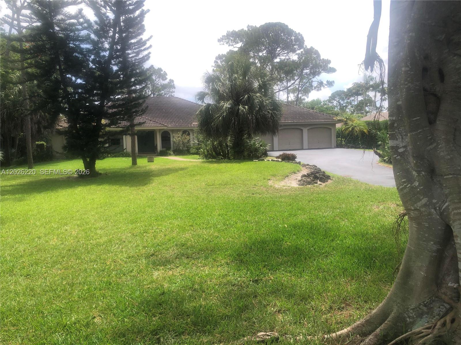 Pine Tree Estates - Residential