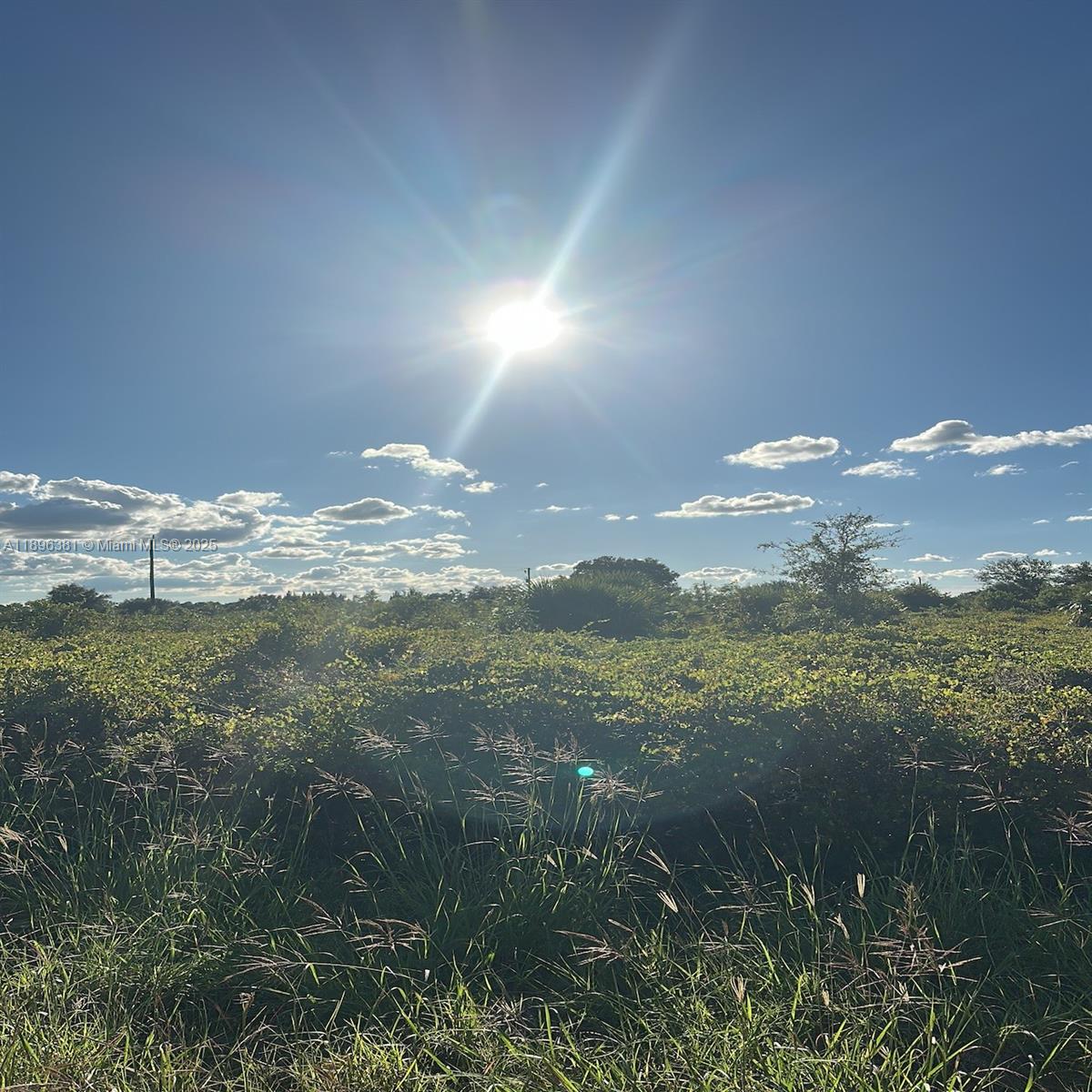 Lee County Unincorporated - Land