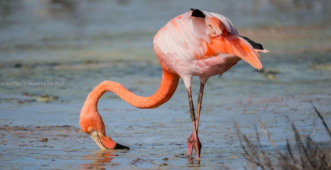 Port Charlotte - Land