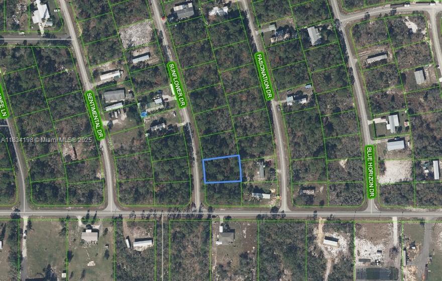 MOBILE HOME OR SFH LOT!!! OWNER WILL FINANCE!!! 4,000 DOWN 429.19 PER MONTH FOR 36 MONTHS AT 7% INTEREST. Paved road power on street. Huge 85 X 125 lot located in the Sun N Lakes community, a perfect place to build your dream home in which to raise your kids or retire. Paved road with power on lot.. Located in Sun n Lakes Subdivision this lot is high and dry. Sun 'N Lakes is located approximately 85 miles from either coast and about 100 miles south of Orlando. There is a beautiful park with a white sandy beach and two docks on Lake Grassy. The park also has a beautiful playground area with equipment, tennis courts, shuffleboard courts, horseshoe pits, a softball diamond, soccer field, and marina to launch your boat by canal into Lake Grassy. There are many activities in the clubhouse