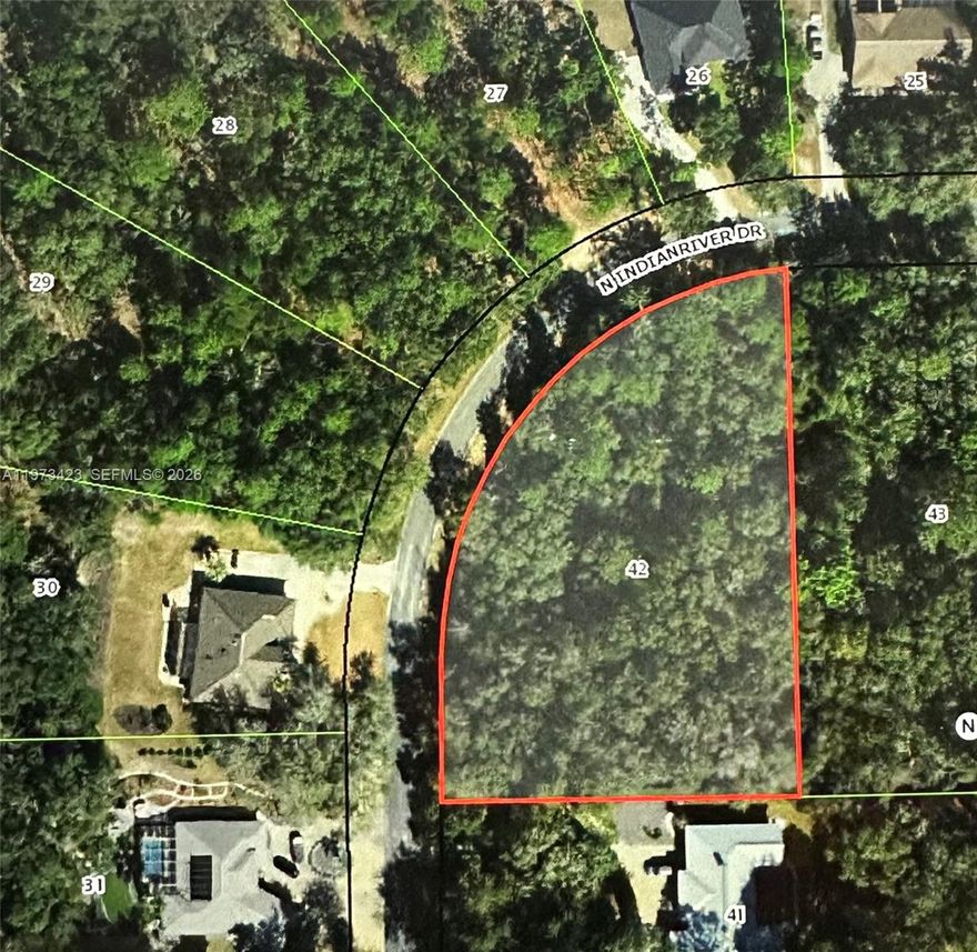 Imagine creating your dream home on this stunning 1.2-acre corner lot in Fairview Estates, Hernando, FL.
Enjoy the perfect blend of serene wooded surroundings while being just minutes away from shopping, state parks, downtown Inverness, and a variety of beautiful natural springs.