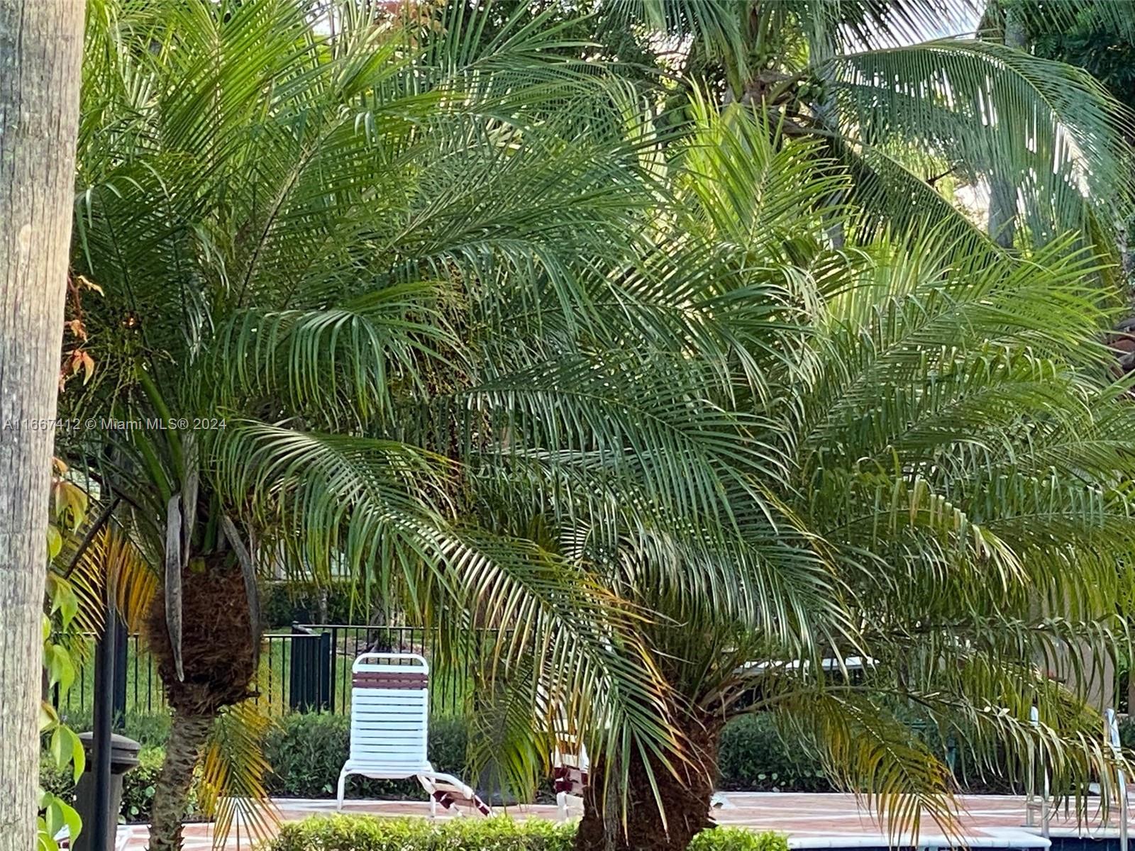 CARRINGTON AT COCONUT CRE - Residential