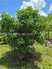 PIONEER PLANTATION - Residential