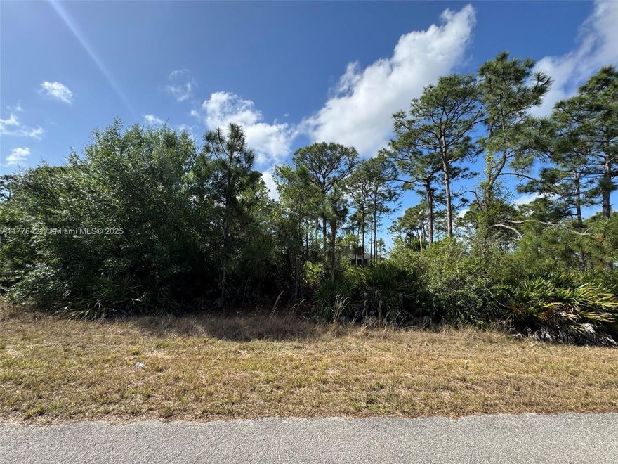This undeveloped parcel offers a blank canvas to build the home of your dreams or make a smart investment in a sought-after location. Nestled in a peaceful residential neighborhood, this lot provides the perfect balance of tranquility and convenience. Enjoy easy access to major roadways, top-rated schools, shopping centers, dining, and outdoor recreation, all just a short drive away. With a generous lot size, there’s plenty of space to design a custom home with a spacious yard, lush landscaping, or even a private pool. The area is ideal for those looking to build in a community that continues to expand while maintaining its natural beauty.