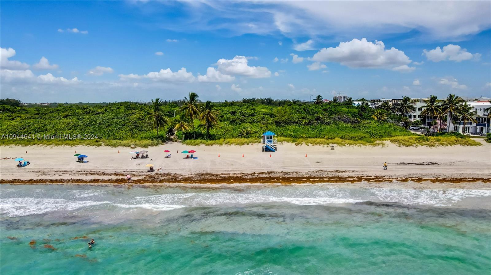 HOLLYWOOD CENTRAL REACH - Residential Lease