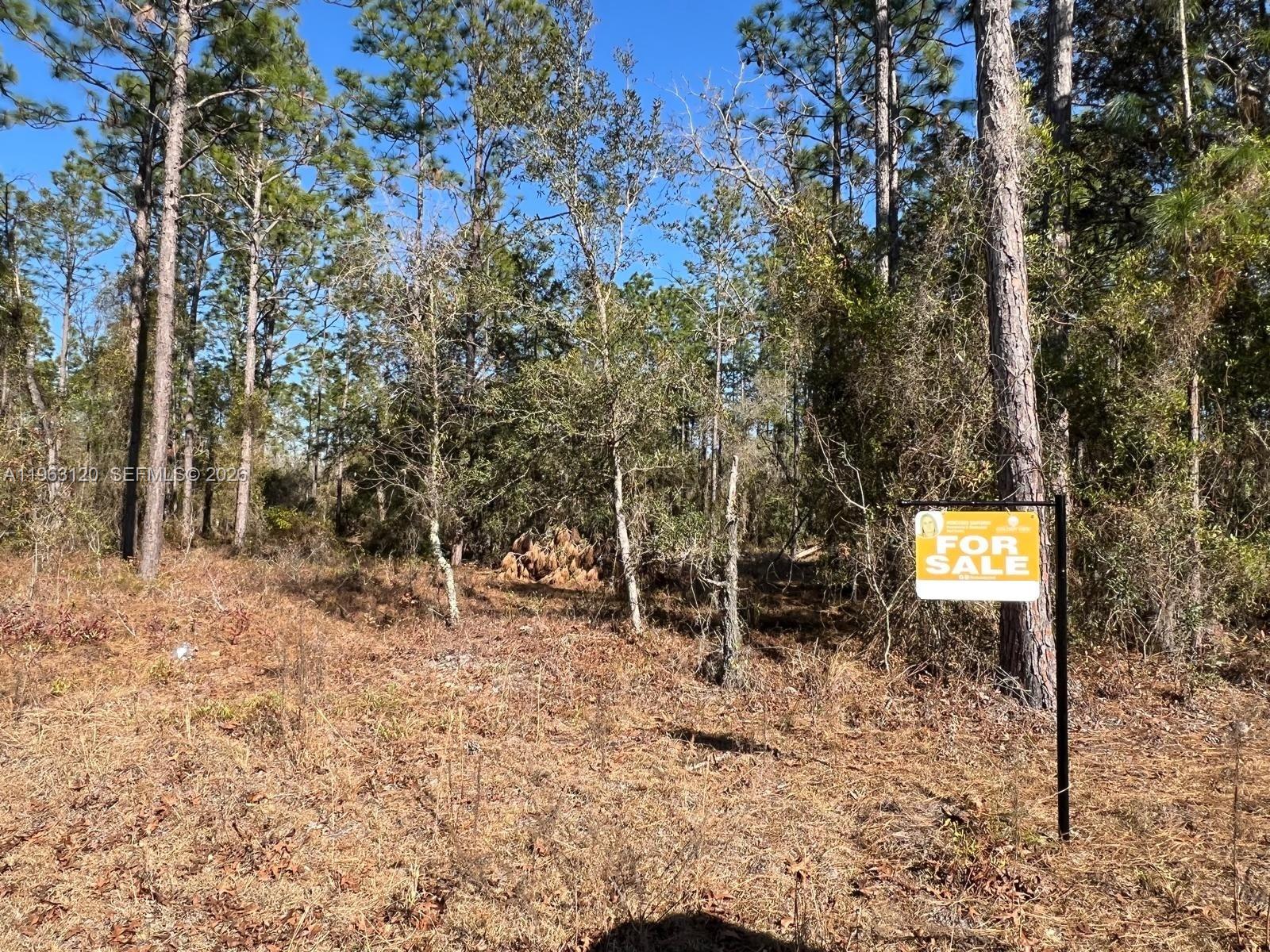 Raibow Lakes Estates - Land