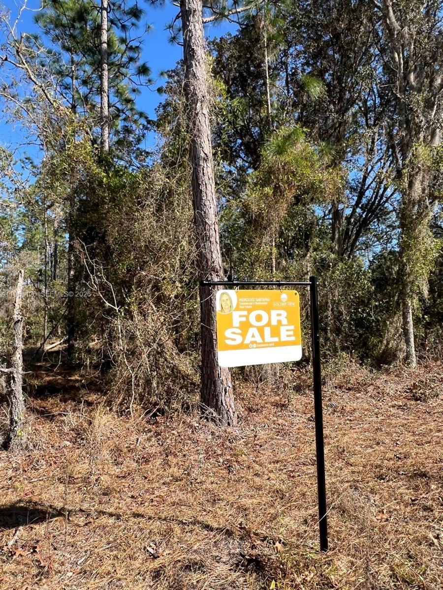 Raibow Lakes Estates - Land