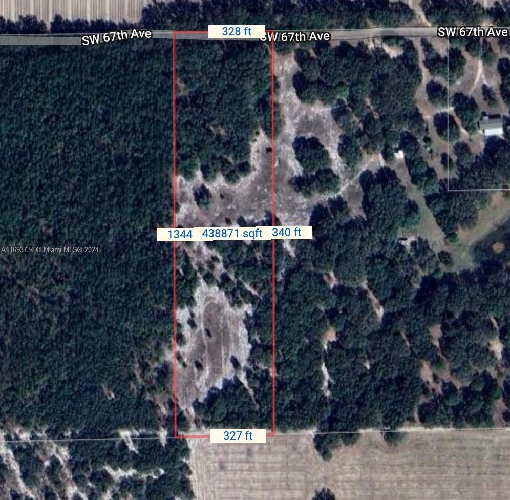 Quiet wooded property. This 10 acre parcel is fully fenced and has beautiful trees throughout. the prossibilities are endless as this property can be used as , cattle, timber, homesite etc. Quiet and secluded off a dirt road but with easy access to town. Newberry is only 5 miles away and within a 25 minute drive you can be at restaurants and shops in Gainesville. The proximity to WEC and Ocala area is only a 45 drive. Wildlife is abundant in the area. Call today to see!