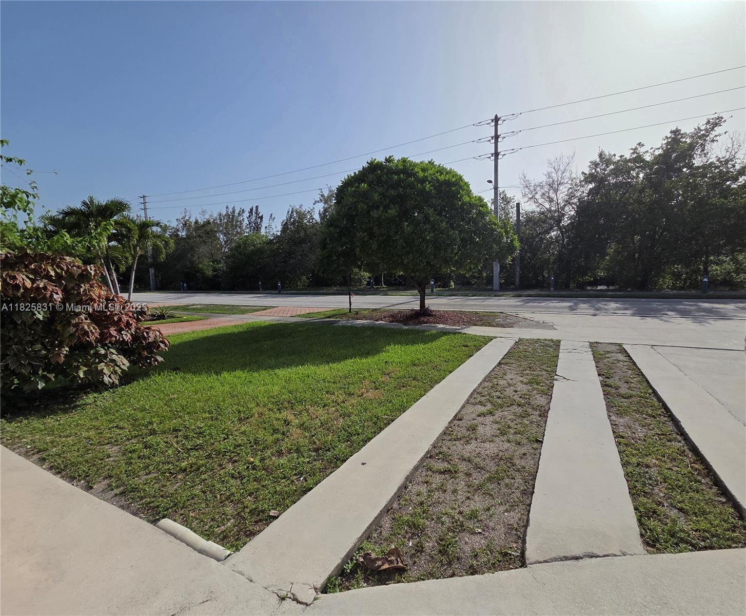 25 Ludlam Dr