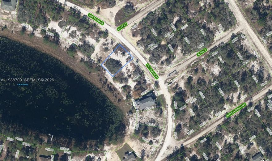 Lakefront Lot on Lake Gloria — Sun N Lakes, Lake Placid

Just shy of a quarter acre, this lakefront lot is the ideal spot to build your new home or an excellent investment property. Seize the opportunity to own affordable lakefront living on Lake Gloria in Sun N Lakes.