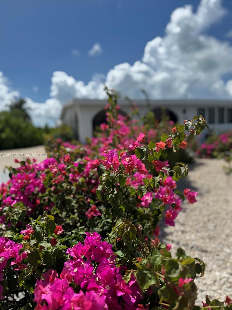 VENICE - Residential Lease