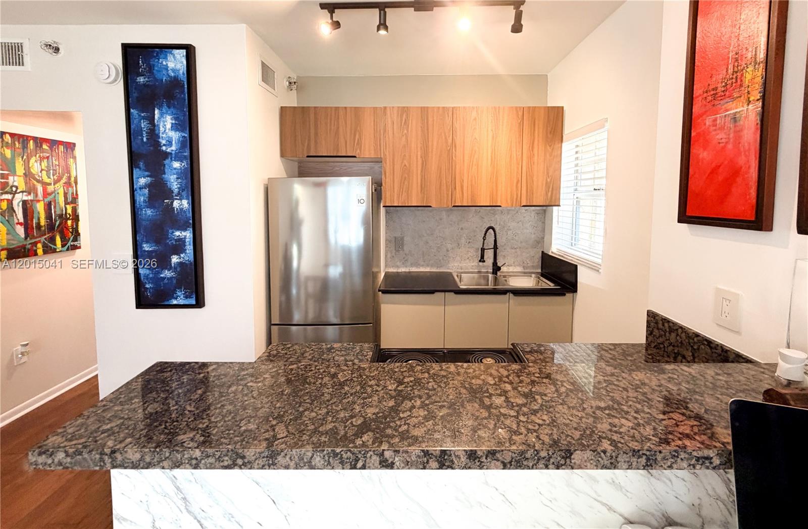 THE ROOSEVELT CONDO - Residential