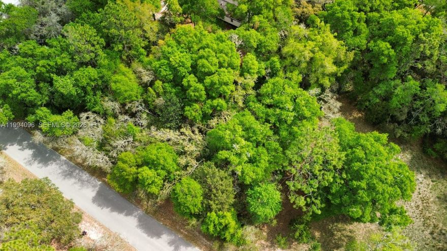 Discover the potential of this exceptional residential lot in the thriving community of Ocala, Florida. Zoned R-4, this property offers incredible flexibility—making it an excellent opportunity for both homeowners looking to build and investors seeking strong future value.

Nestled in a ????? and natural setting, this lot provides the perfect balance of privacy and convenience. You’ll enjoy easy access to shopping, dining, schools, and major highways, all while being surrounded by the beauty and tranquility that makes Ocala such a desirable place to live.

With ample space to design a custom home, add a pool, or create inviting outdoor living areas, the possibilities here are endless. Whether you're envisioning a primary residence, a rental property, or a long-term investment, this lot delivers.

Located in Ocala Estates , this property comes with no HOA or minimal restrictions (buyer to verify with the county), giving you the freedom to bring your vision to life.

Don’t miss your chance to secure a piece of one of Central Florida’s fastest-growing markets—opportunities like this are becoming harder to find.